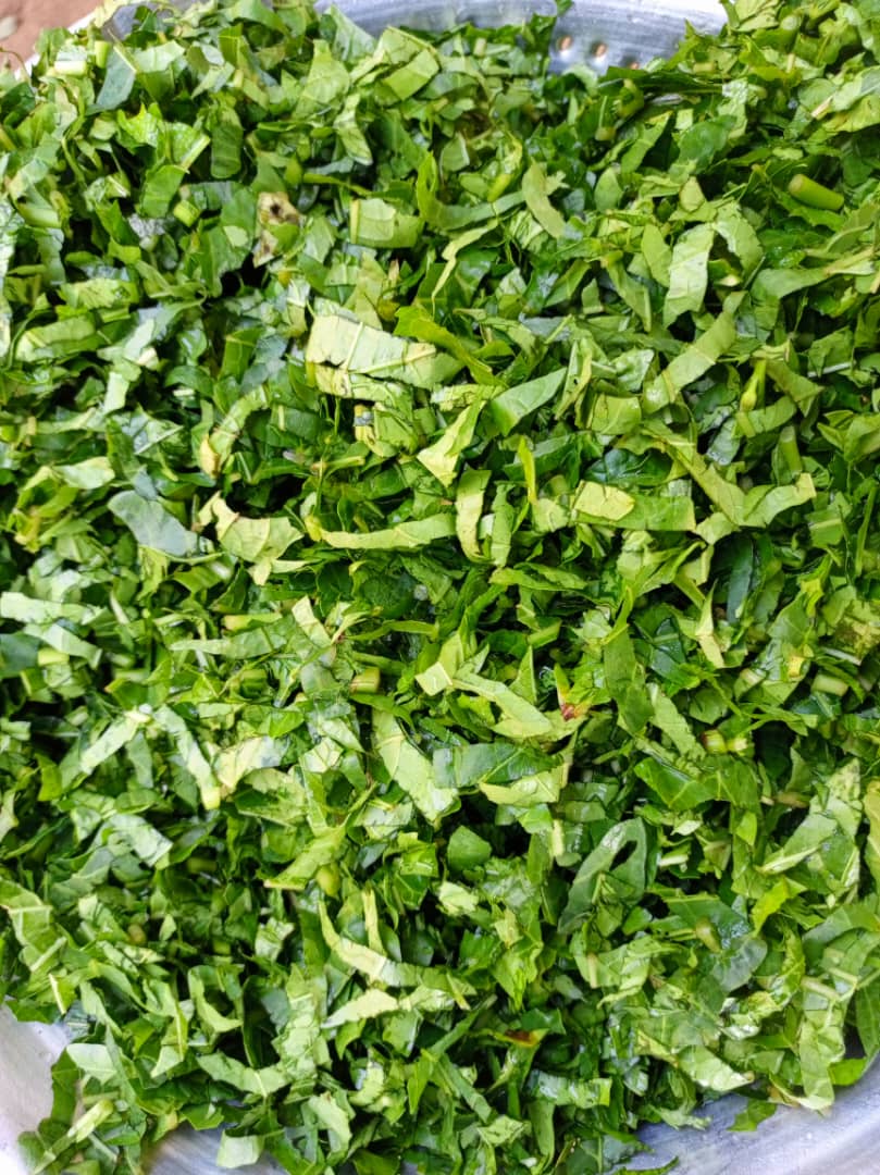 Plantation de tomates